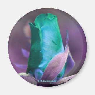 Imán fotográfico de flores turquesa rosebud
