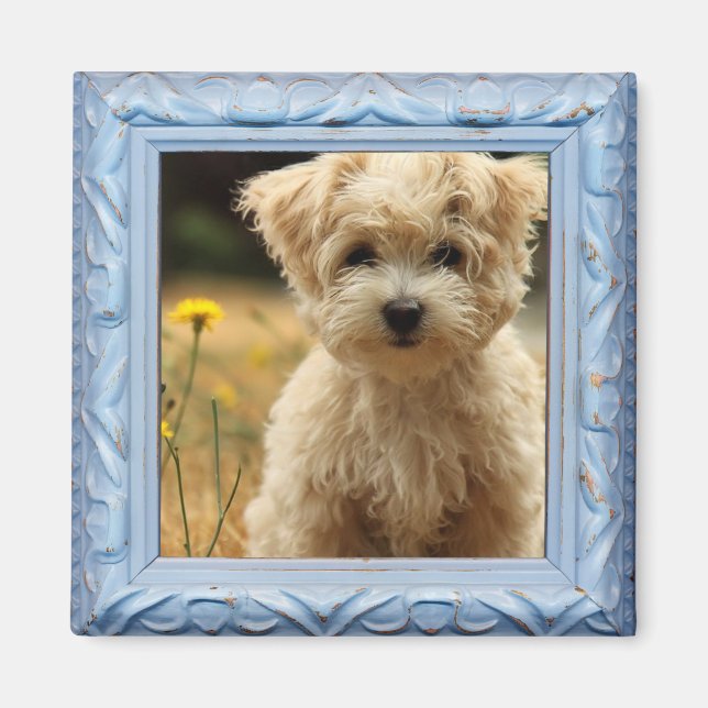 imán fotográfico de instagram (Frente)