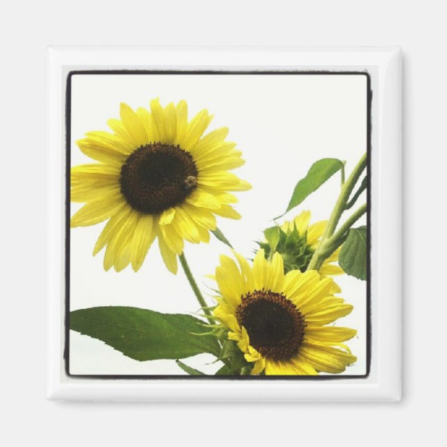 imán fotográfico de instagram (Frente)