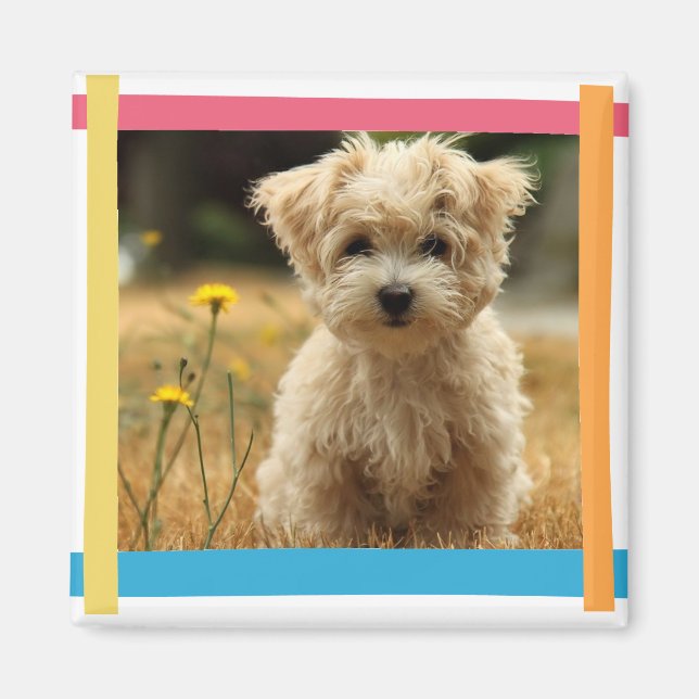 imán fotográfico de instagram (Frente)