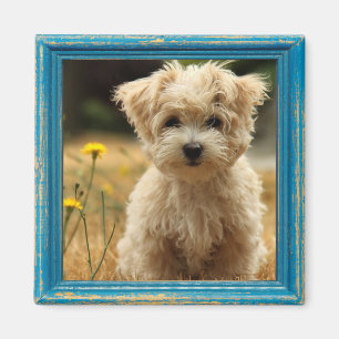 imán fotográfico de instagram