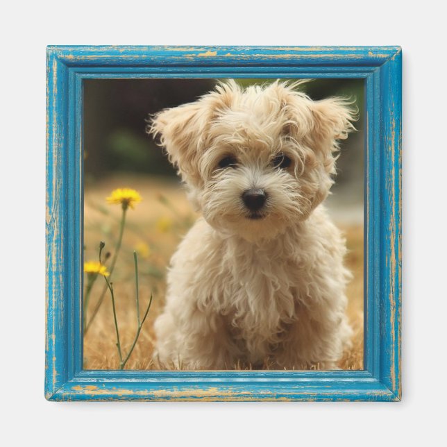 imán fotográfico de instagram (Frente)