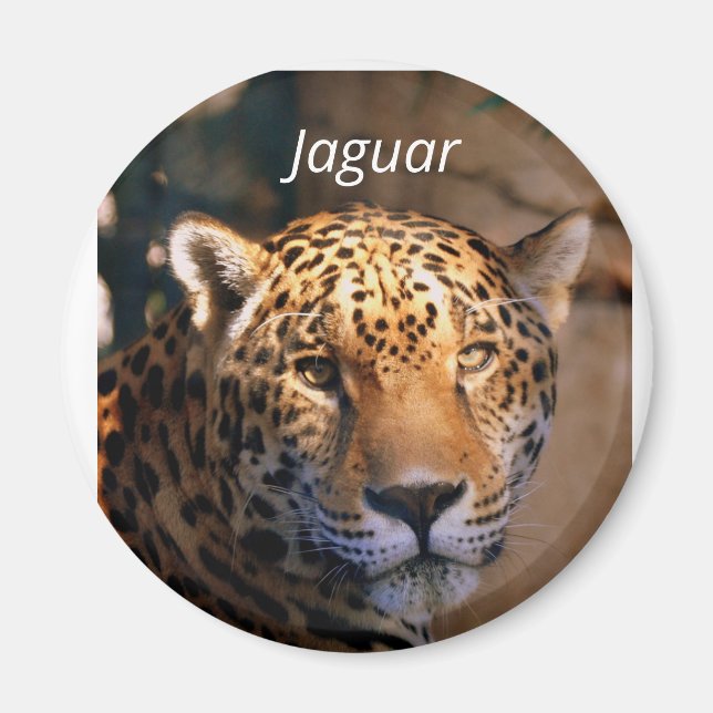 Imán fotográfico de Jaguar (Frente)