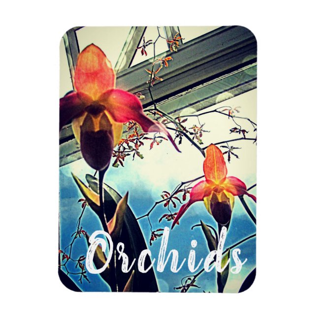 Imán fotográfico de orquídeas iluminadas por el so (Vertical)