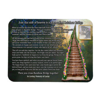 Imán fotográfico del Personalizable Rainbow Bridge