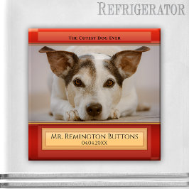Imán fotográfico en memoria de perros o gatos Keep