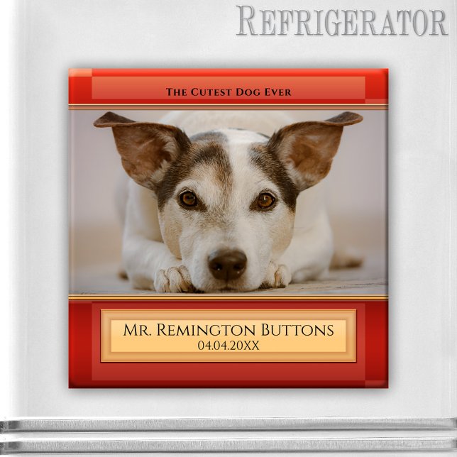 Imán fotográfico en memoria de perros o gatos Keep (Memorial magnet featuring your pet photo on a modern red burgundy design)