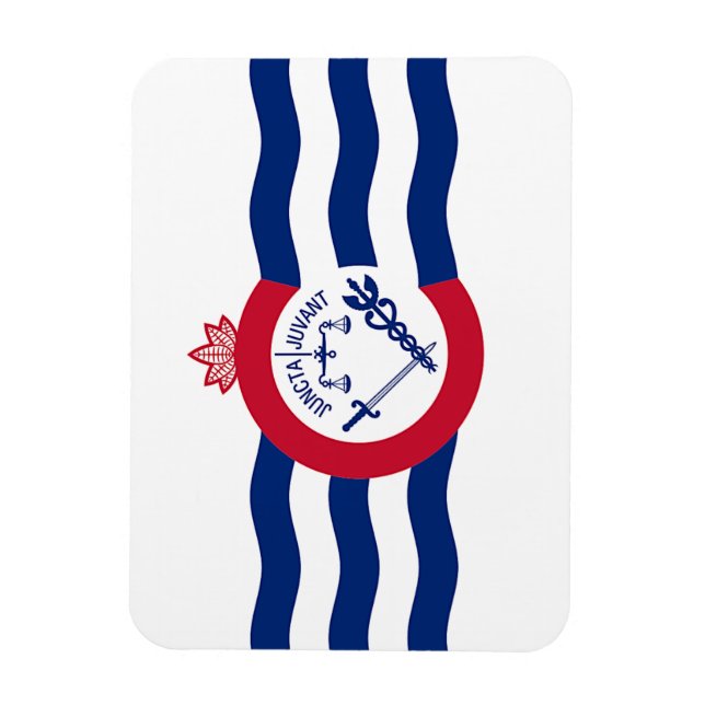 Imán fotográfico flexible con bandera de Cincinnat (Vertical)
