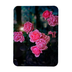 Imán fotográfico flexible con efecto Wire