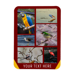 Imán fotográfico flexible de 5 imágenes personaliz