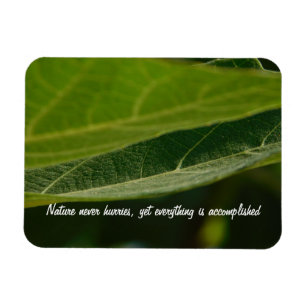 Imán fotográfico flexible "hoja de árbol"