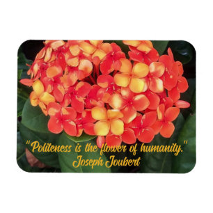 Imán fotográfico flexible Ixora en floración