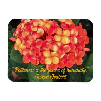 Imán fotográfico flexible Ixora en floración