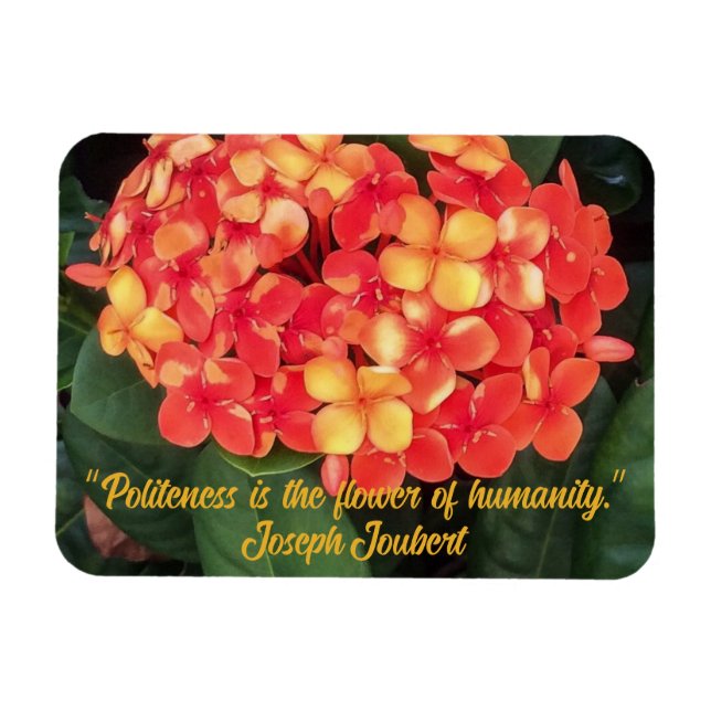 Imán fotográfico flexible Ixora en floración (Horizontal)