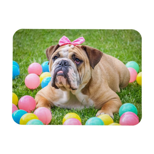 Imán fotográfico Mascota de perro personalizado (Horizontal)