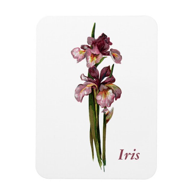 Imán fotográfico Morple Irises (Vertical)