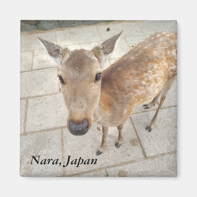Imán fotográfico Nara Japan (Frente)
