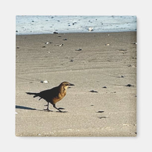 Imán fotográfico para aves
