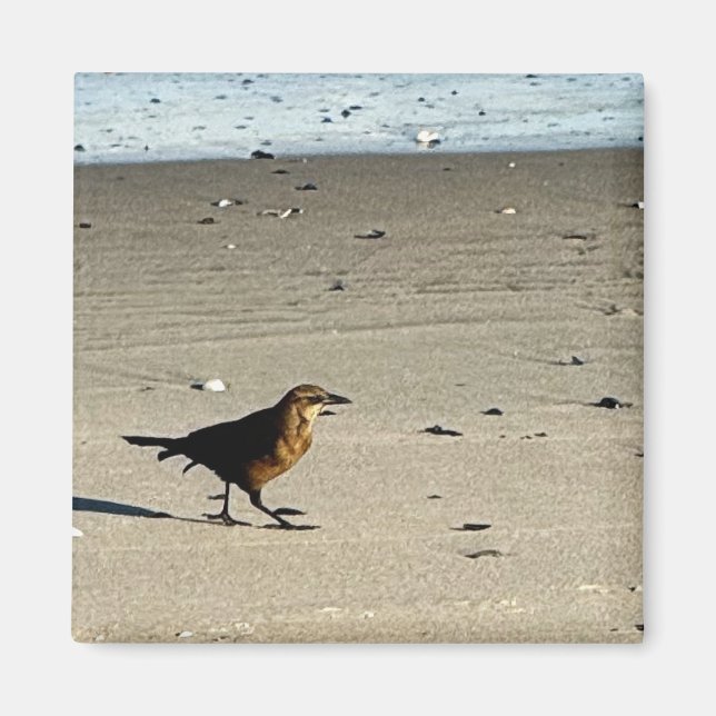 Imán fotográfico para aves (Frente)