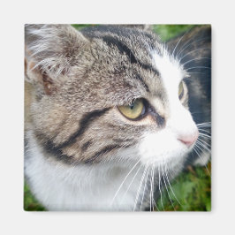 imán fotográfico personalizado para nevera | Su im