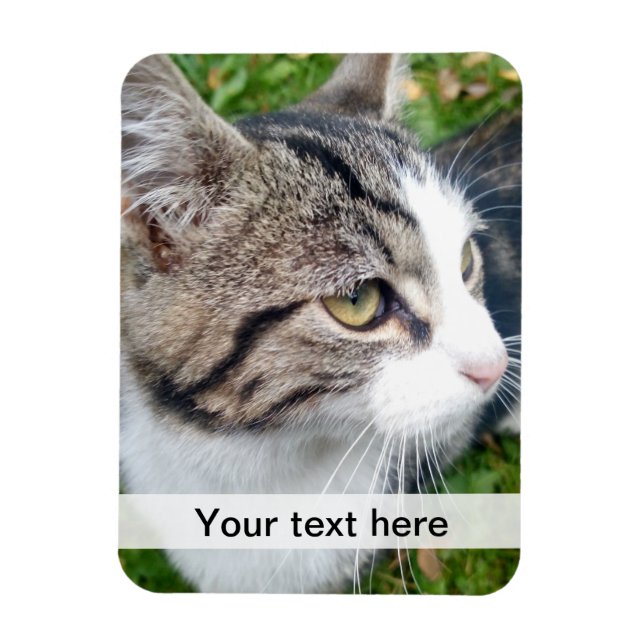 imán fotográfico personalizado | Subir su imagen a (Vertical)