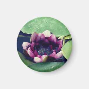 Imán fotográfico Purple Lotus Flower
