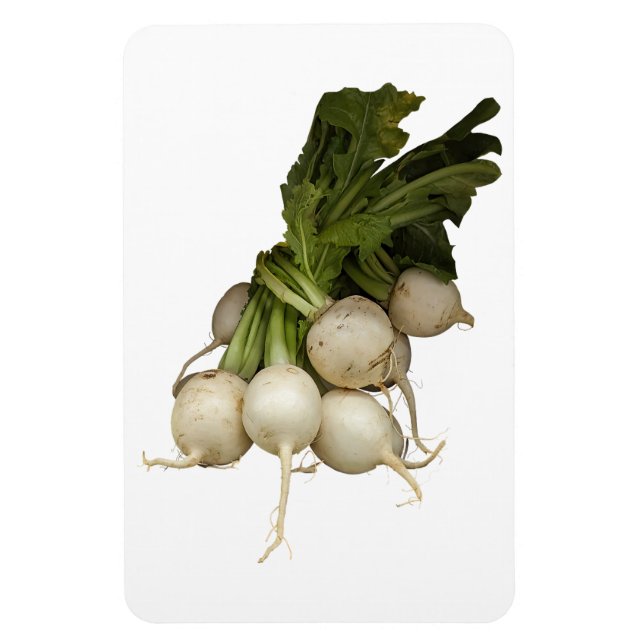 Imán fotográfico Turnips (Vertical)