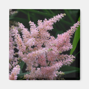 Imán fotográfico Vivid Pink Flower