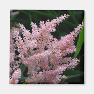 Imán fotográfico Vivid Pink Flower