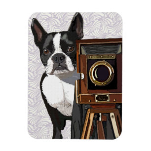 Imán Fotógrafo Boston Terrier 2