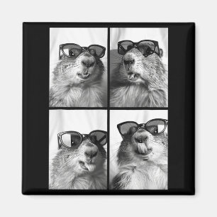 Imán Fotos de solteros de marmotas lindas Animal fresco