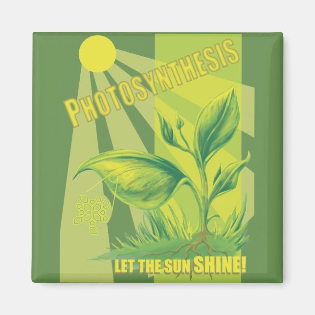 Imán Fotosíntesis (Frente)