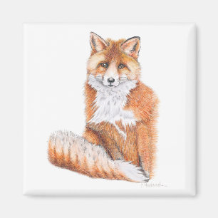 Imán Fox