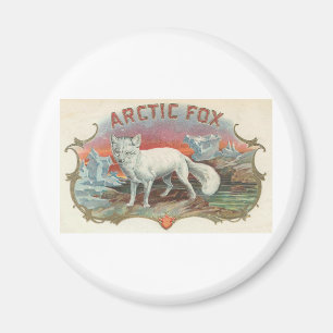 Imán Fox ártico del vintage
