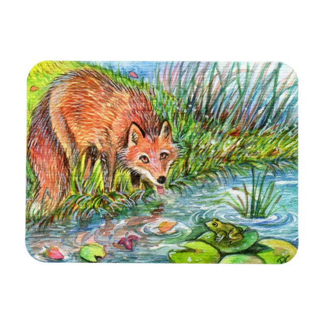 Imán Fox Bebiendo Por El Estanque (Horizontal)