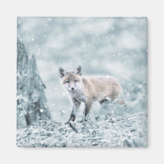 Imán Fox Cub en la nieve (Frente)