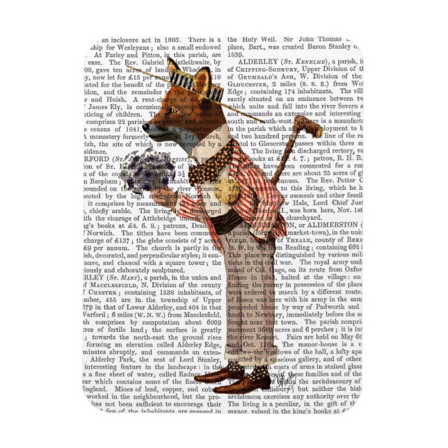 Imán Fox en Boater (Vertical)