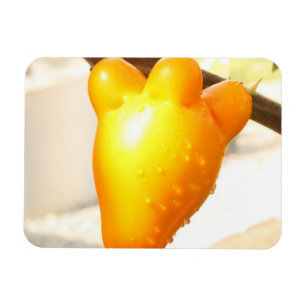 Imán Fox Face Fruit