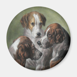 Imán Fox Hounds