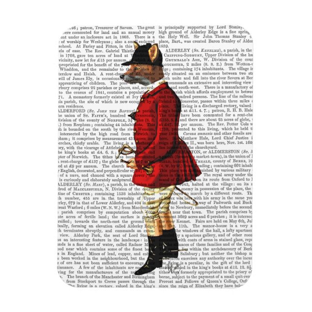 Imán Fox Hunter 1 2 (Vertical)