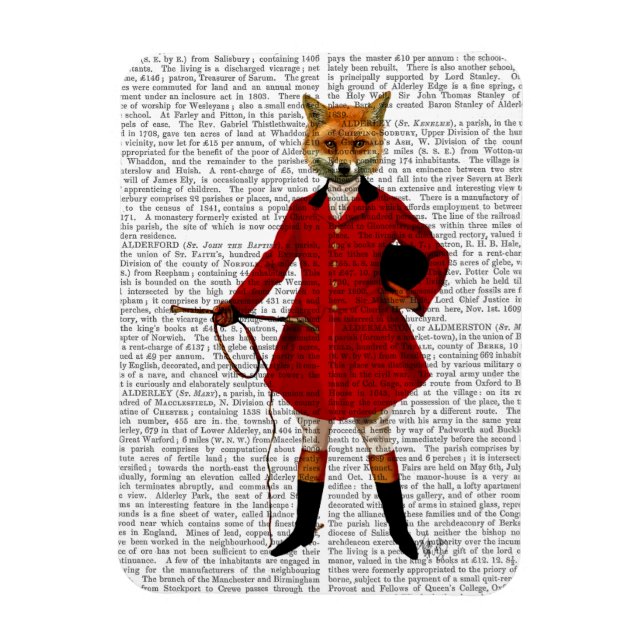 Imán Fox Hunter 2 Full (Vertical)