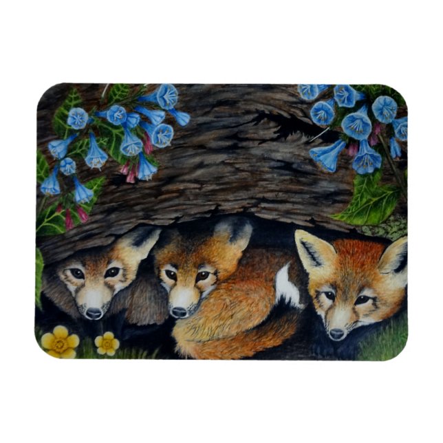 Imán Fox Pups Magnet (Horizontal)