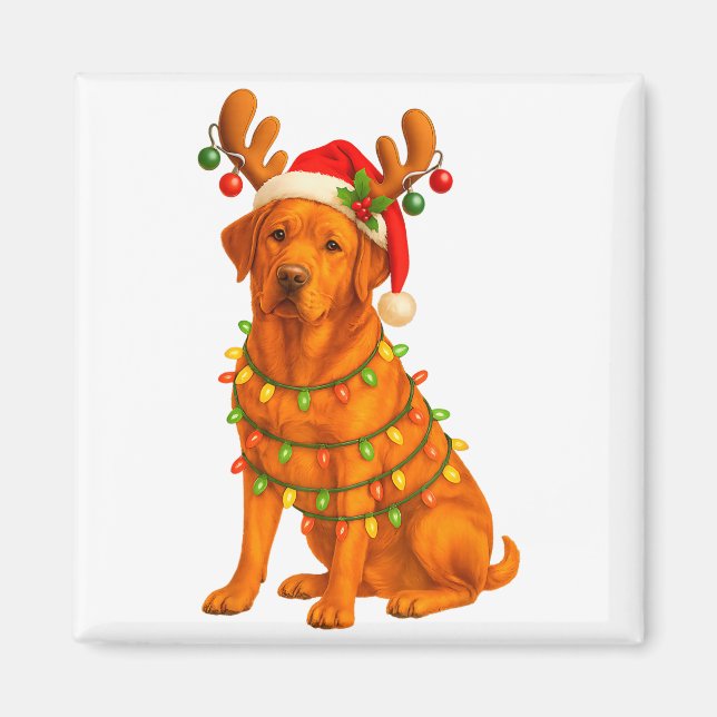 Imán Fox Red Lab Christmas Tree Light Pajama Labrador D (Frente)