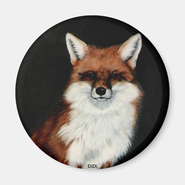 Imán FOX ROJO, DiDi (Frente)
