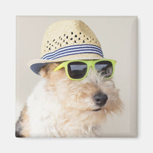 Imán Fox terrier