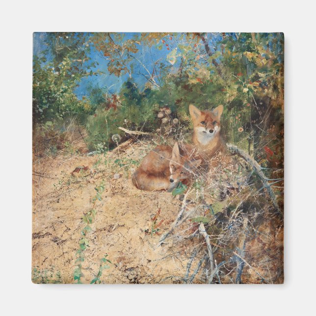 Imán Foxes, Bruno Liljefors (Frente)