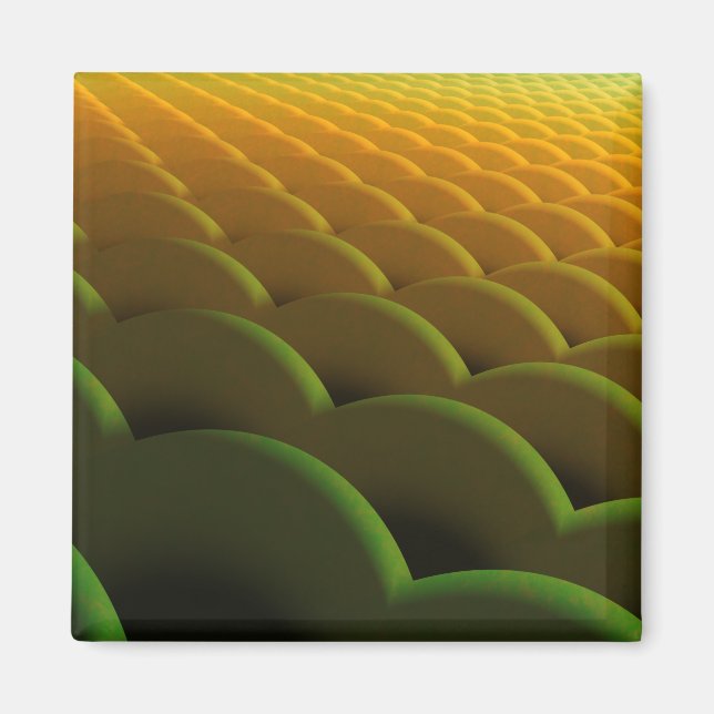 Imán Fractal Scales Magnet (Frente)