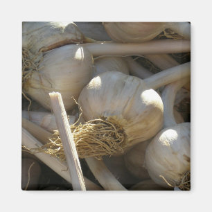 Imán Fragante delicioso en forma cruda