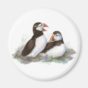 Imán Frailecillos lindos, pájaro del océano, playa,