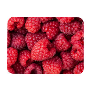 Imán Frambuesas rojas frescas